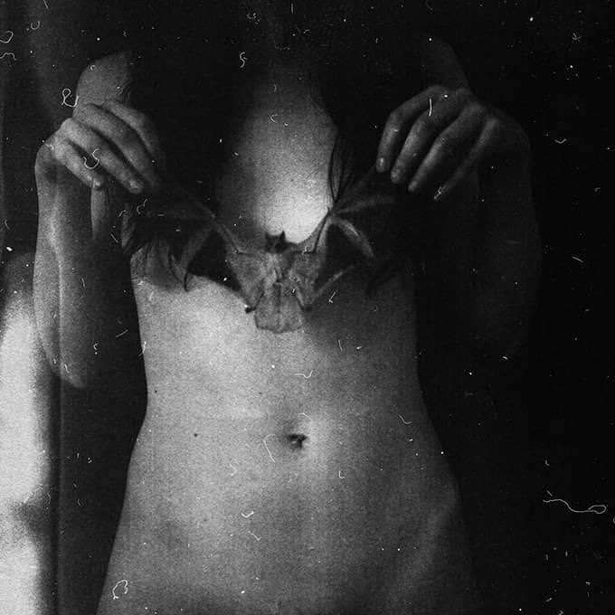 È dentro al mio fiore che mi sono nascosta,
Così che tu, quando quel fiore appassirà dal vaso,
Senza saperlo, possa sentire per me -
Quasi una solitudine.

E. Dickinson

#poetrycommunity #fimminachelegge #dickinson #ferragosto <a href="/CasaLettori/">Casa Lettori</a>