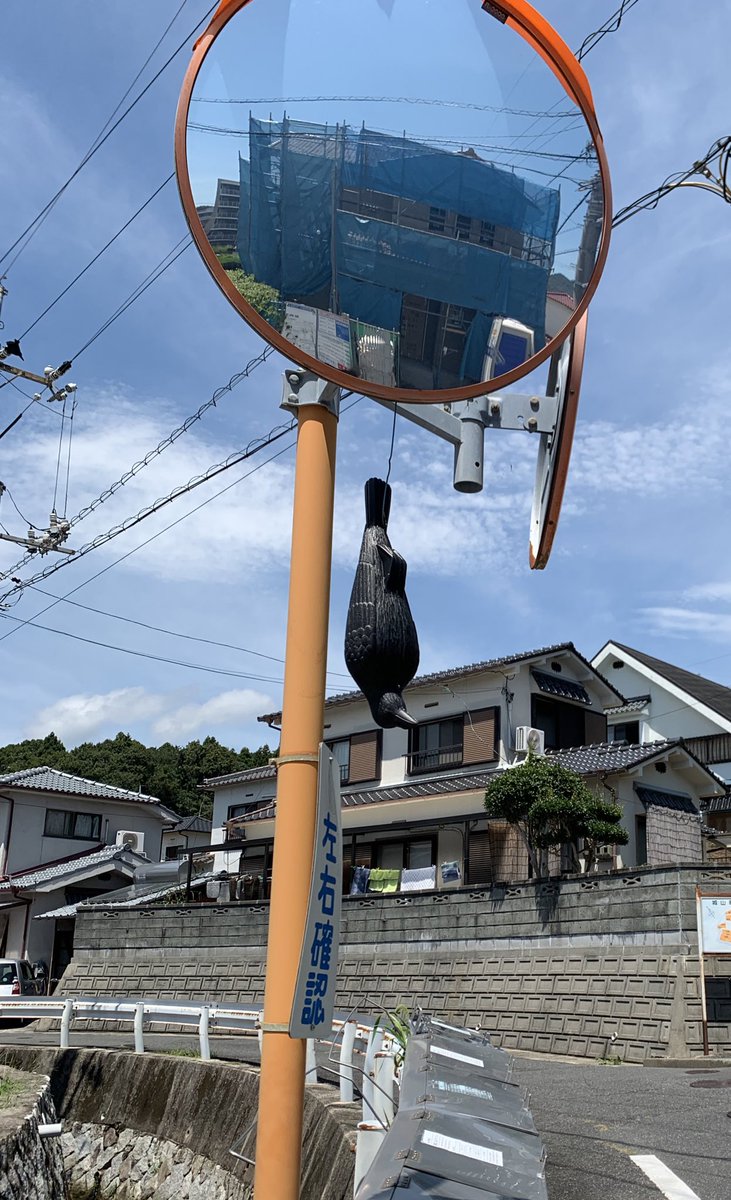 R1_chachacha's tweet photo. 死体を見せしめるスタイルのカラス避け https://t.co/Q0PNt9DrZ8