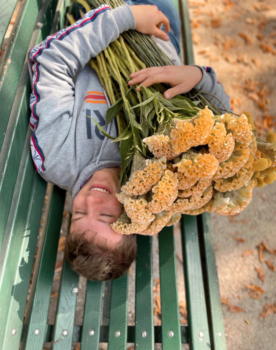 FleuriotFleurs's tweet photo. On sent que l’automne approche… 

#fallflowers #fallblooms #celosia #fallfeeling #fleuriot #fleuriotfleurs #fleuriot1920 #fleuristegeneve #floristgenf https://t.co/Z96gE6fEo2