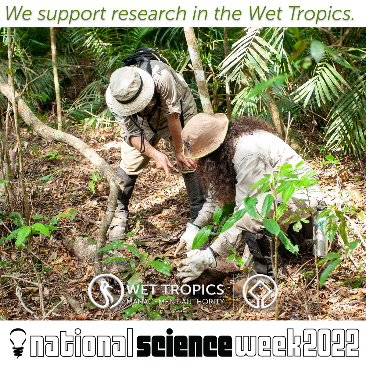 WetTropicsMA's tweet photo. Recognising Traditional Knowledge in #NationalScienceWeek . The Authority facilitated a co-designed climate change research project between Traditional Custodians of #DindenNationalPark and JCU, facilitated through the Queensland Governmentβs #ReefAssist Program.
#AcceptActAdapt https://t.co/qszIg59sfd