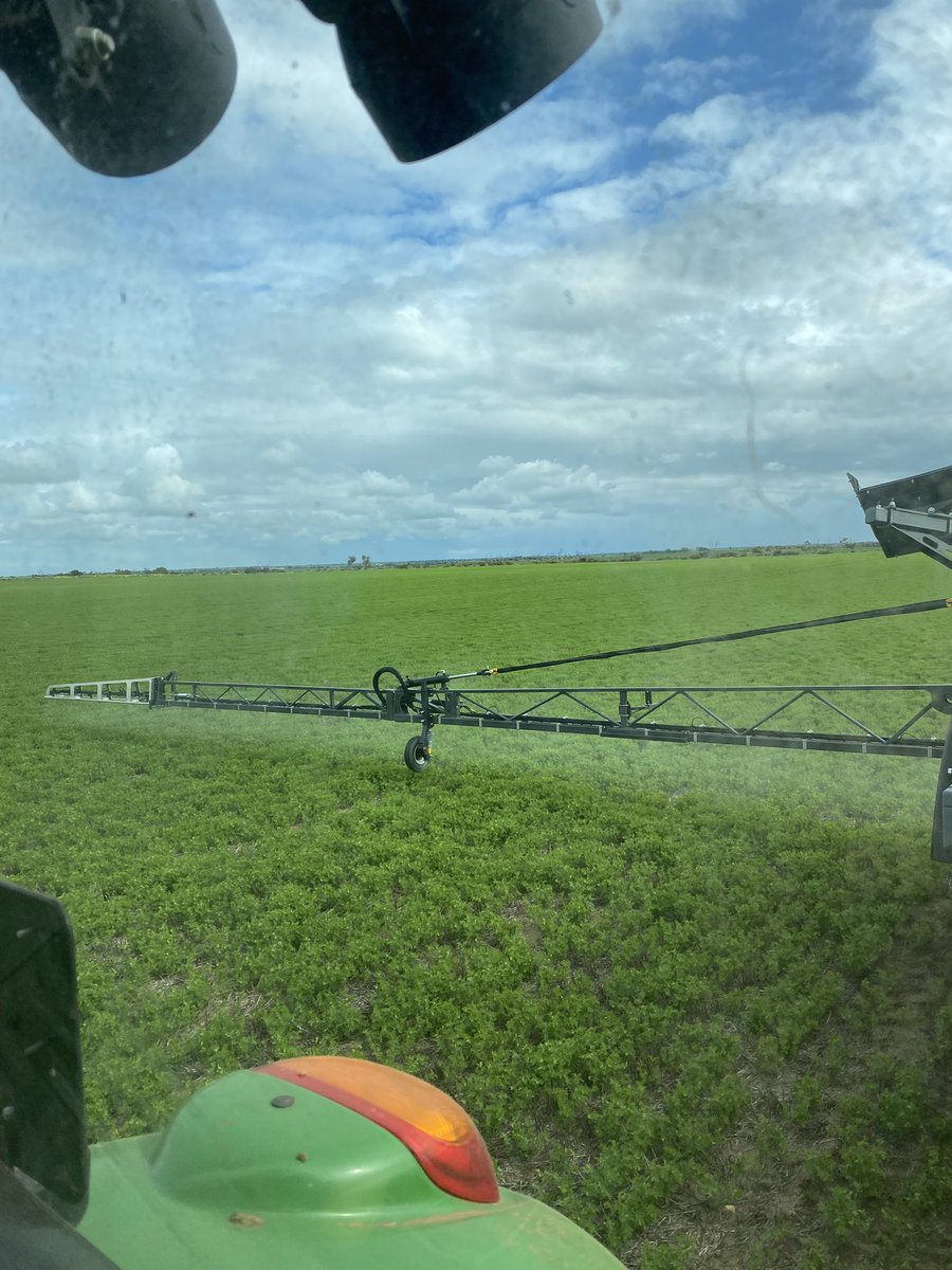 First mancozeb carb going out on lentils. Starting to grow now