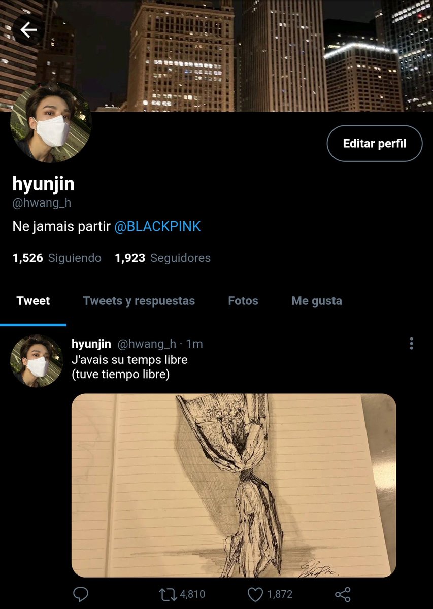hyuninlvsme's tweet photo. Hwang Hyunjin :

- 18 años
- no se mata porque aún tiene que ir a un concierto de blackpink
- clase media
- amante del arte en todas sus formas https://t.co/S9GVYkn93R