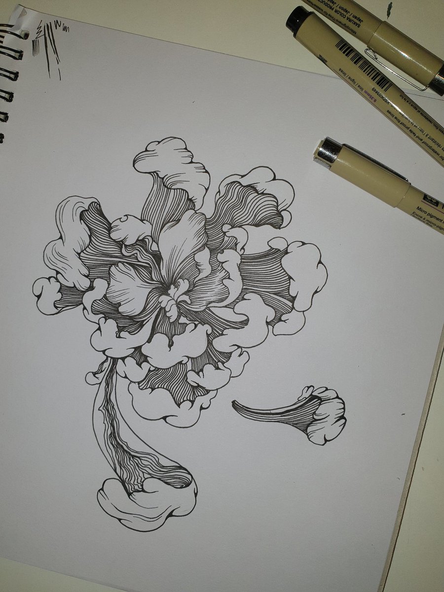 GM guys!☕🍞 Since I'd been forbidden from the screen, I couldn't do any client work. So I grabbed my pen and had a little sketch instead and I love it🖤 I call this sketch "A Flower of Anxiety"🕸 Have a good day frens🤍
#nftart #nftartist