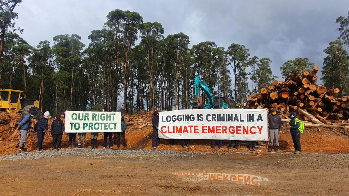 merri_forests's tweet photo. Breaking: large group of peaceful protesters stop logging today despite new draconian laws passed by the Victorian parliament designed to silence forest protesters and shield destructive logging of state forests from public view https://t.co/hdVAeeaYy5