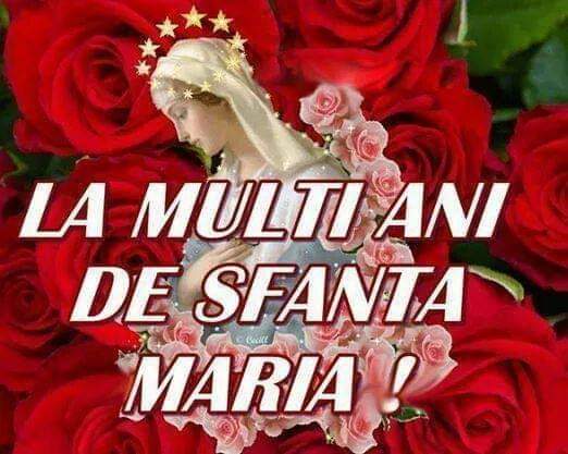 CamyTunea's tweet photo. La mulți ani dragă mamă de ziua numelui! 🌹
#sfmaria
#romania🇷🇴 https://t.co/TgqxNVavE9