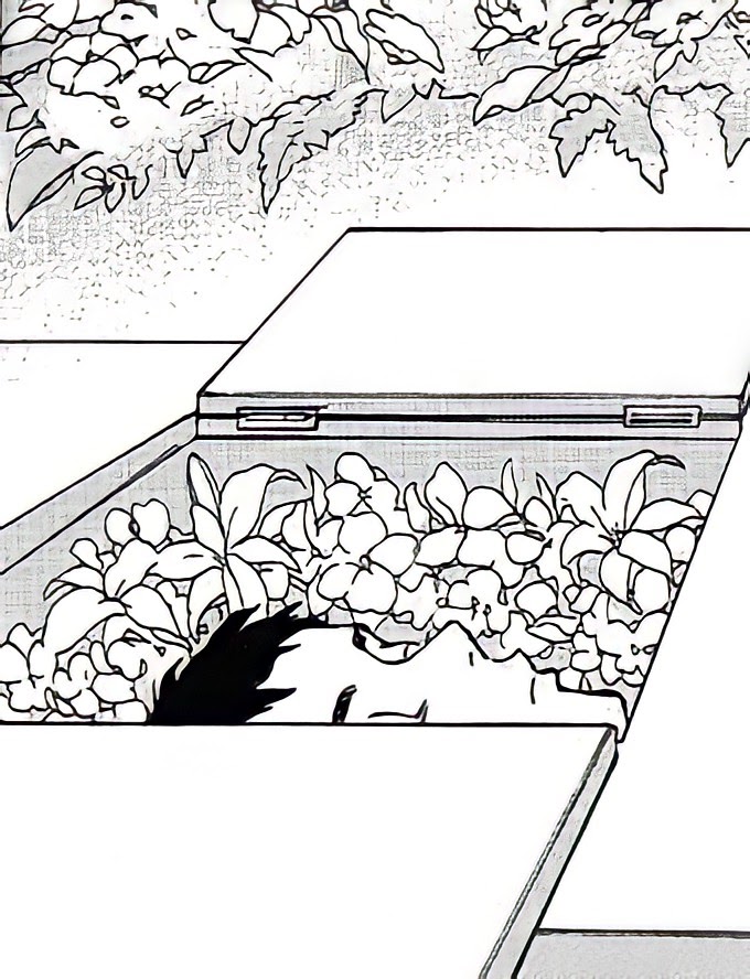 sleeping beauty 🤍