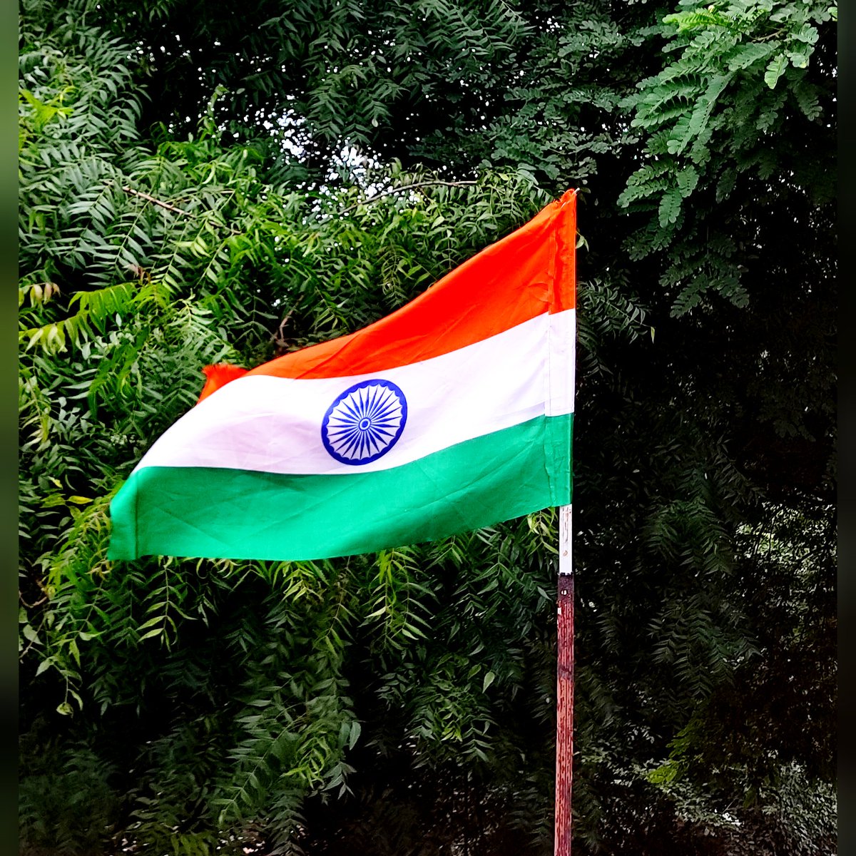 MeghaG099's tweet photo. विजयी विश्व तिरंगा प्यारा,
झंडा ऊंचा रहे हमारा।❤🇮🇳

#AzadiKaAmritMahotsav 
#75thYearOfIndependence 
#JaiHind 
#HappyIndependenceDay https://t.co/ouDXfBG2x6