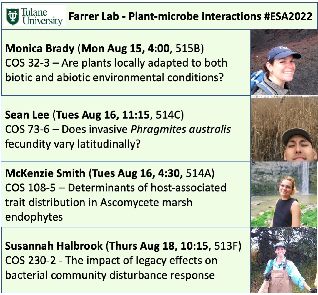 emilycfarrer's tweet photo. Lab member presentations at #ESA2022! If you're interested in plant-microbe interactions, invasion, microbial ecology, check out @Genius_specie  @NullResultsSuz @PhragLee https://t.co/6enuD6Ci8P