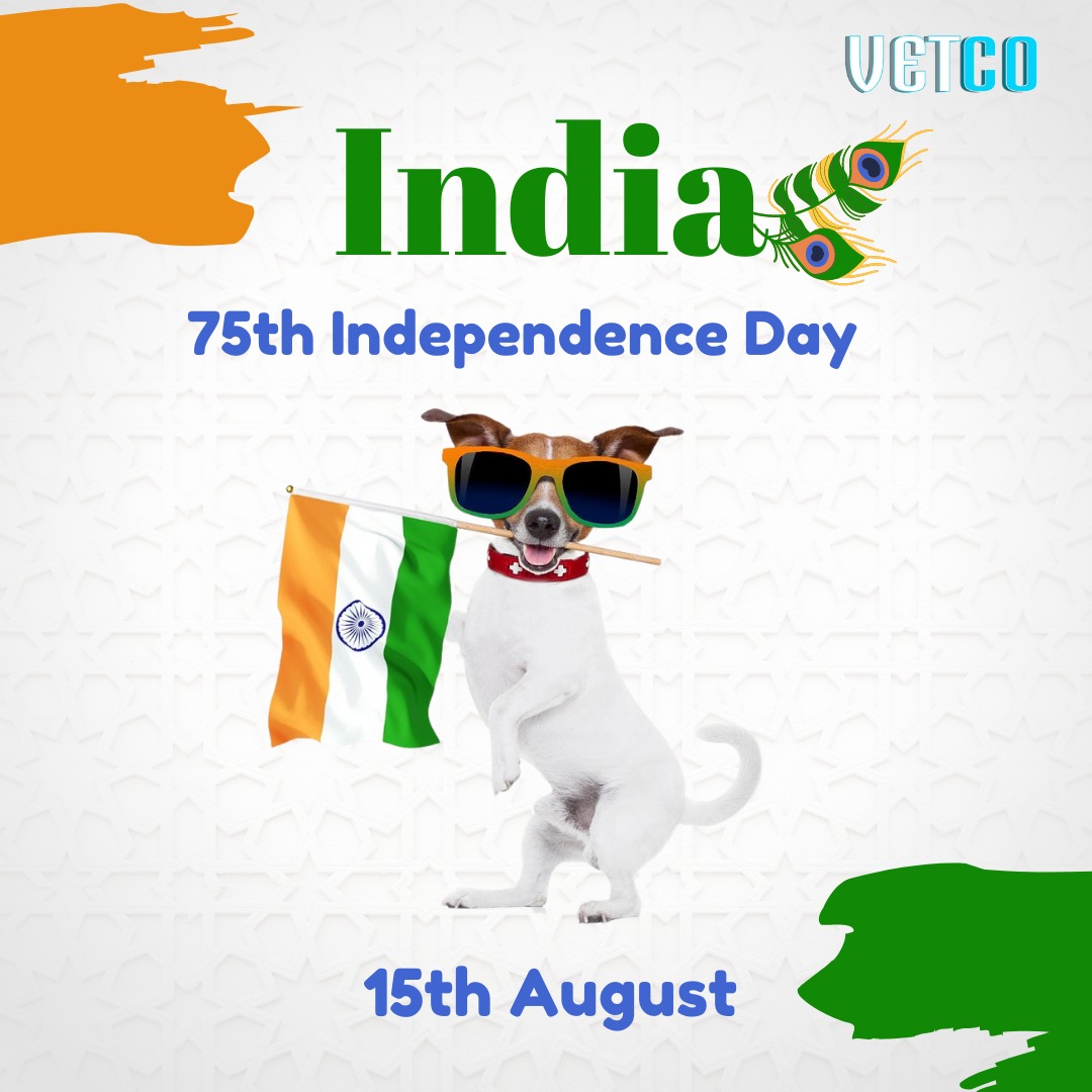 getvetco's tweet photo. Happy 75th India 🇮🇳
.
.
#keepTailsWagging
#vetco #getvetco #india #IndependenceDay2022 #HarGharTiranga #75IndianIndependenceDay #JaiHind #IndependenceDayIndia https://t.co/XjUi6U21h4