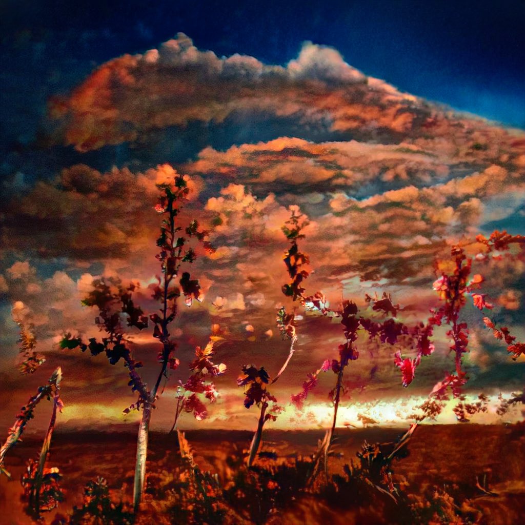 “Endless skies”