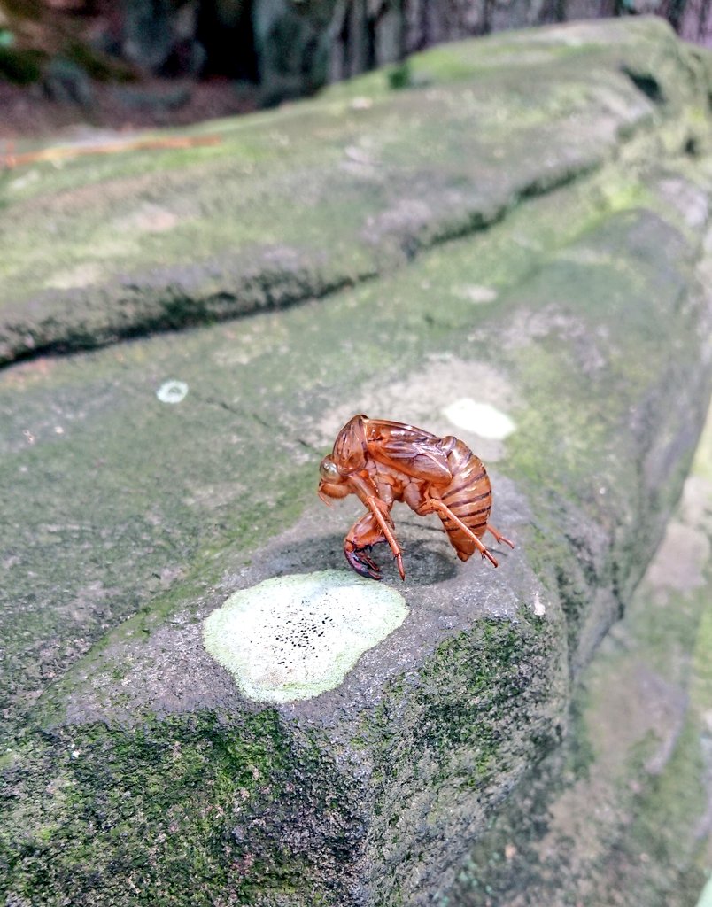 夏休み、満喫中。かわいい！ https://t.co/1EBAL22oaE