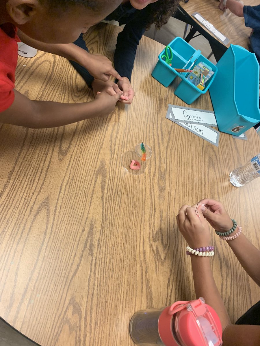 VictoriaJ42670's tweet photo. @SemmesElem @jenniferfetner Saving Fred Team Building Activity! #thirdgraderocks #semmesational https://t.co/PJy0K5bOiV