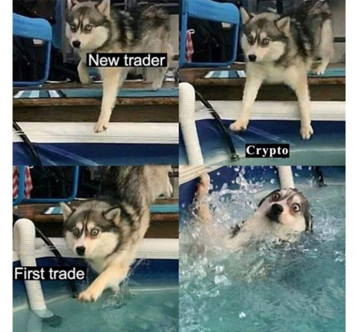 RedCryptoMemes's tweet photo. Feels 🤣 https://t.co/st84LUaFwn