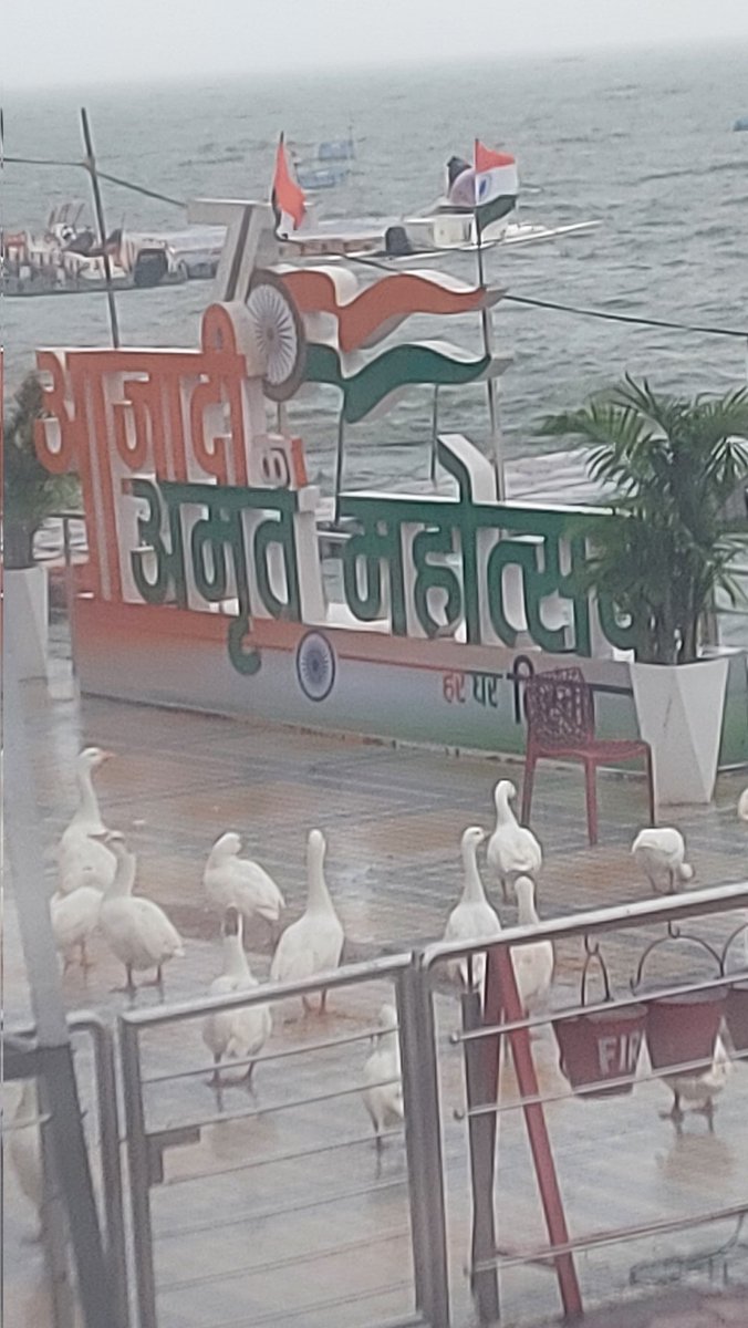 csdefence's tweet photo. cs #Institute of #defence and #management #bhopal wishes all of you a very happy 75th independence day Let us all remember the eternal words of Shri Rabindranath tagore 'where the mind is without fear and the head is held high..into that heaven of freedom.. Let my country awake.. https://t.co/hFP7V13Tkg