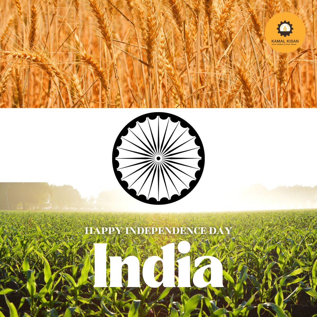 Happy Independence Day India!

#azadikaamritmahotsav #harghartiranga
#kamalkisan #indianagriculture #kisan