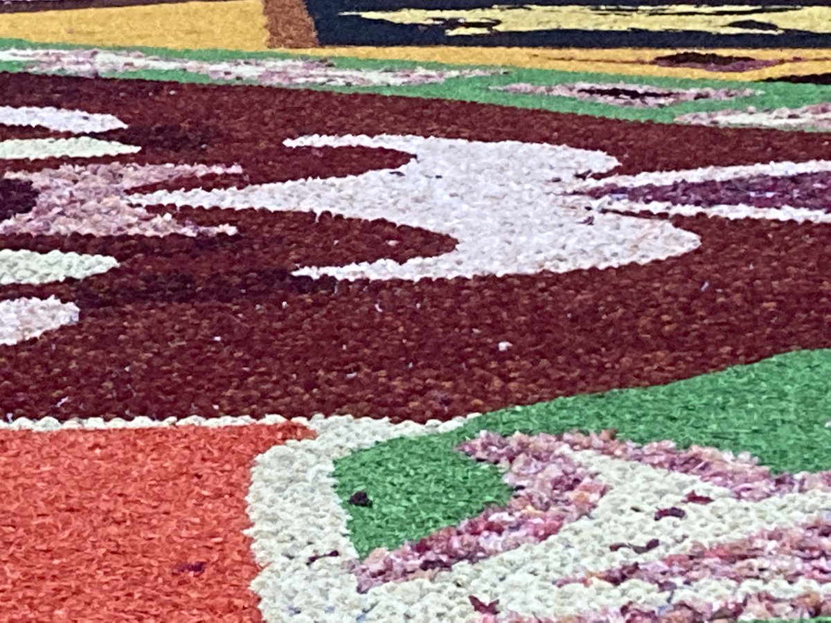 euro_tour's tweet image. フラワーカーペット。