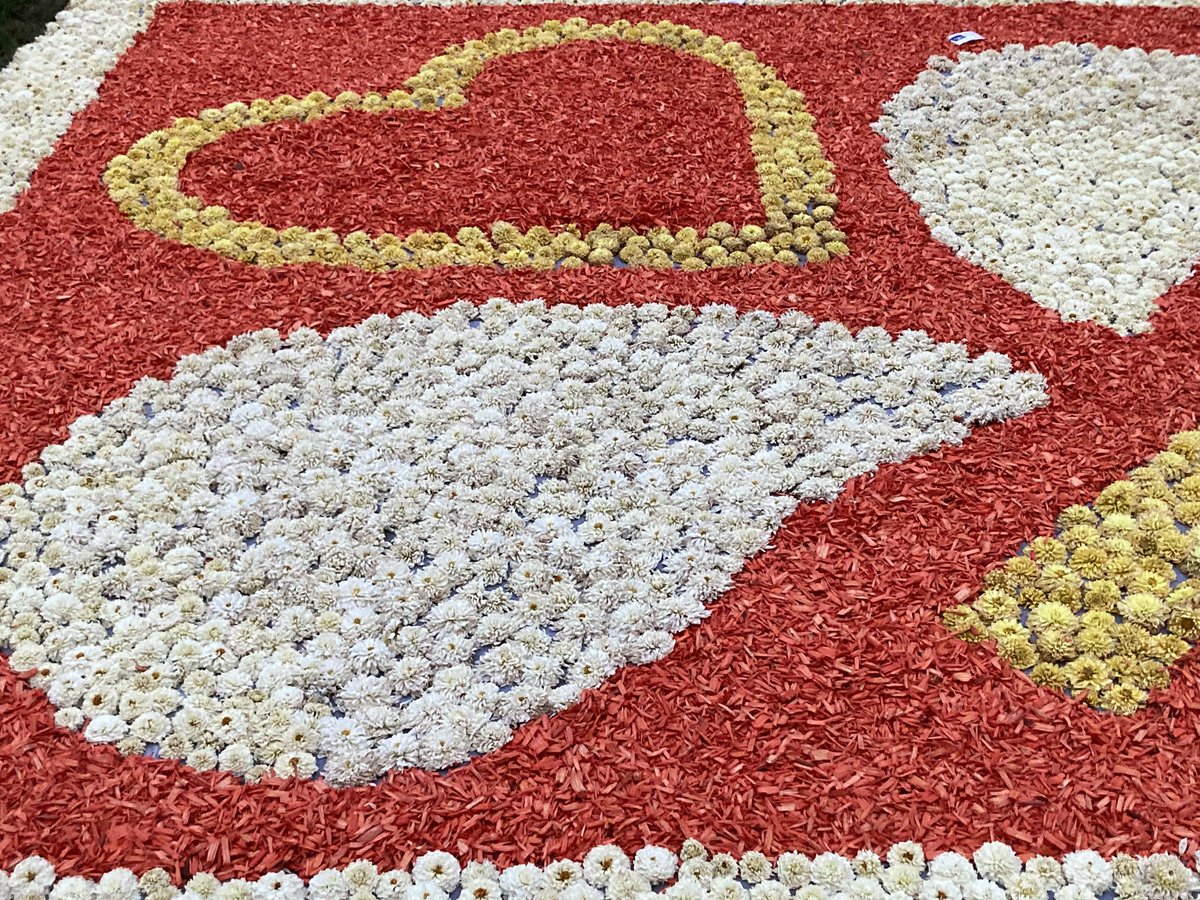 euro_tour's tweet image. フラワーカーペット。