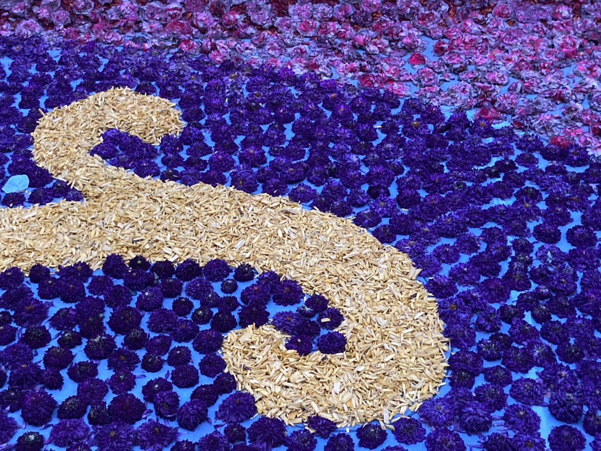 euro_tour's tweet image. フラワーカーペット。