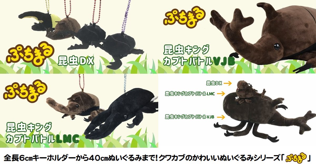 昆虫ブリーダー アマ Konchyuburiama Twitter