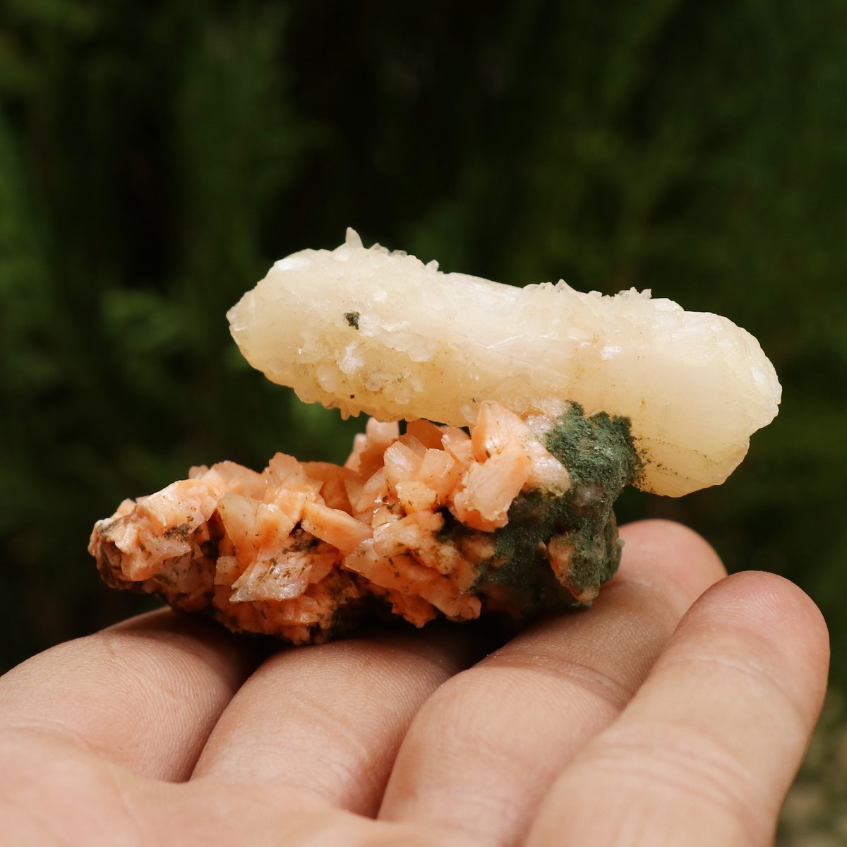 himalyaquartz's tweet photo. Natural Heulandite Cluster
See More Info:- https://t.co/MNAAT3bbyS
#heulandite #cluster #apophyllite #homedecor #crystalturtle #quality #forsale #greenchlorite #instagram #india #jewelry #buyonline #store #usa #natural #stone #stonehenge #crystalshop #crystals #crystalshop https://t.co/mDIy0AdmHC