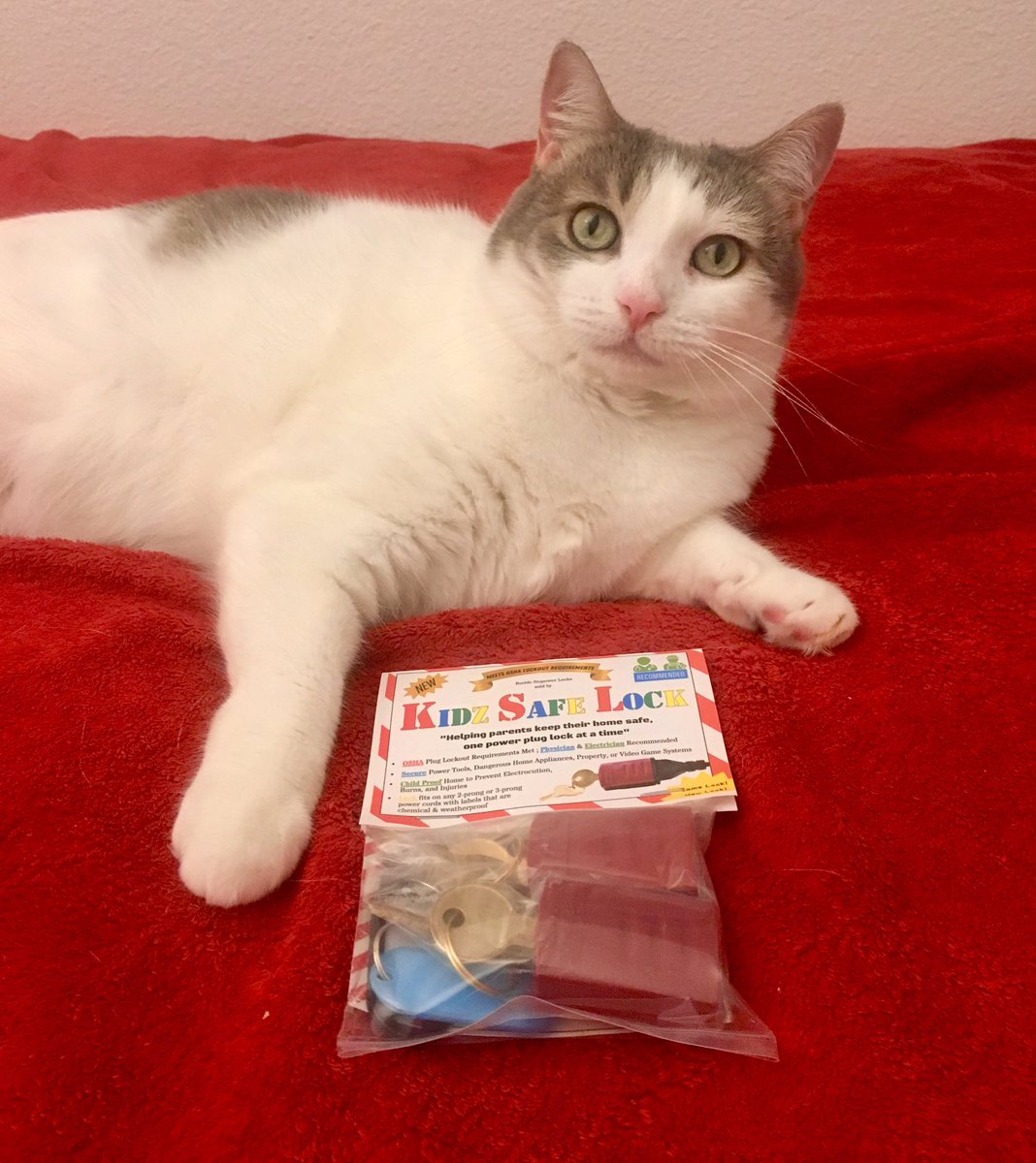 SCDMessi's tweet photo. IRL child safety and of course animal safety locks! Our cat Angie approves after paying her in some agree greenies! New packaging 🤙 code “KIDSAFE” for 20% off

https://t.co/41Q9pDjqvd https://t.co/iGxGeY4qRE
