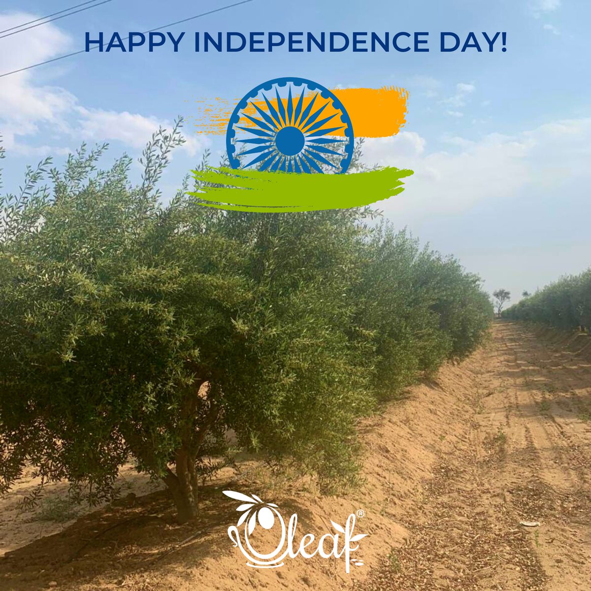 oleafherbal's tweet photo. May the flag of our country fly higher and higher each year! Happy 75th Independence Day! Jai Hind! https://t.co/d536mE5lOi
