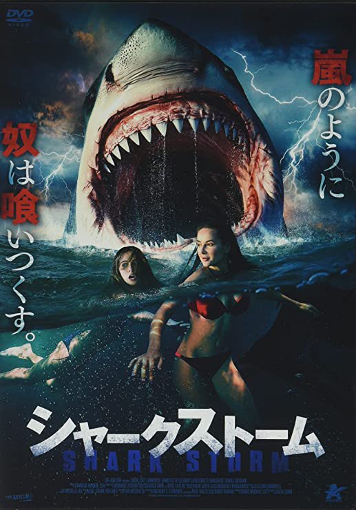 サメ映画大全 知的風ハット 著者 注目の