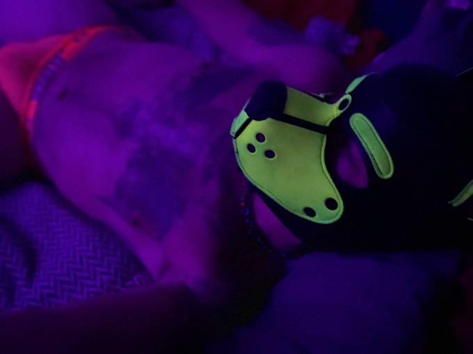 Sleepy glow puppy #glowpup #pupapocalypse  #CAM4 #gaypornpup #pupplay https://t.co/qOLaX5iK3r