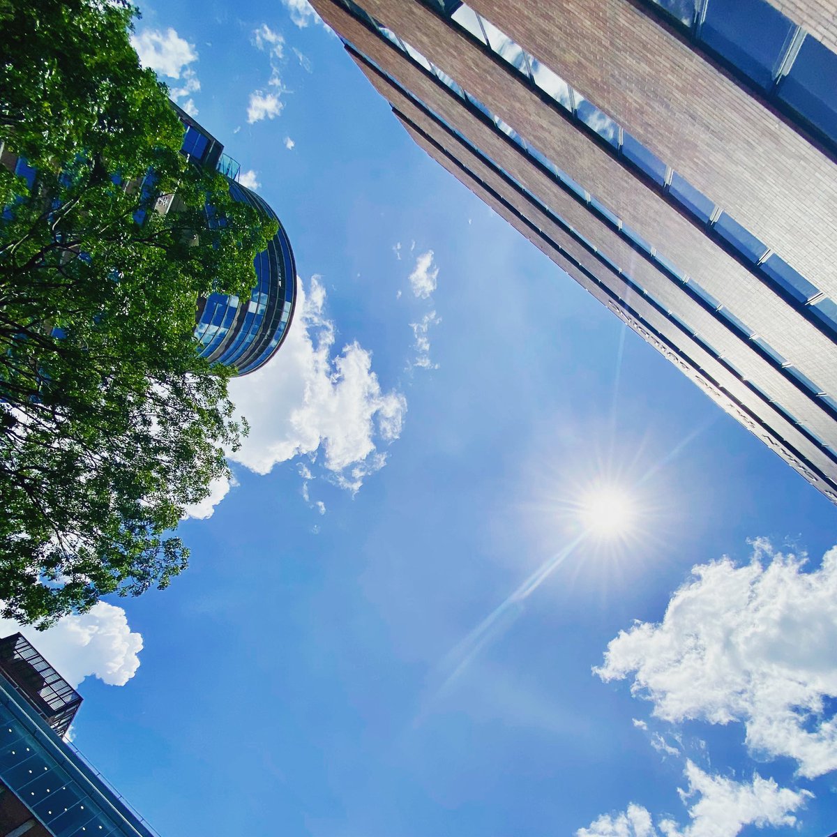 HongKongPolyU's tweet photo. The afternoon sunshine! โ๏ธโ๏ธโ๏ธ
#PolyU #polyucampus #campus #university #hongkong #university https://t.co/mrO3QT8yw7