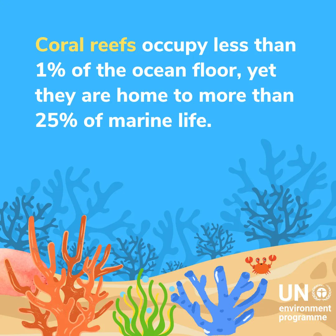 UN Environment Programme tweet media