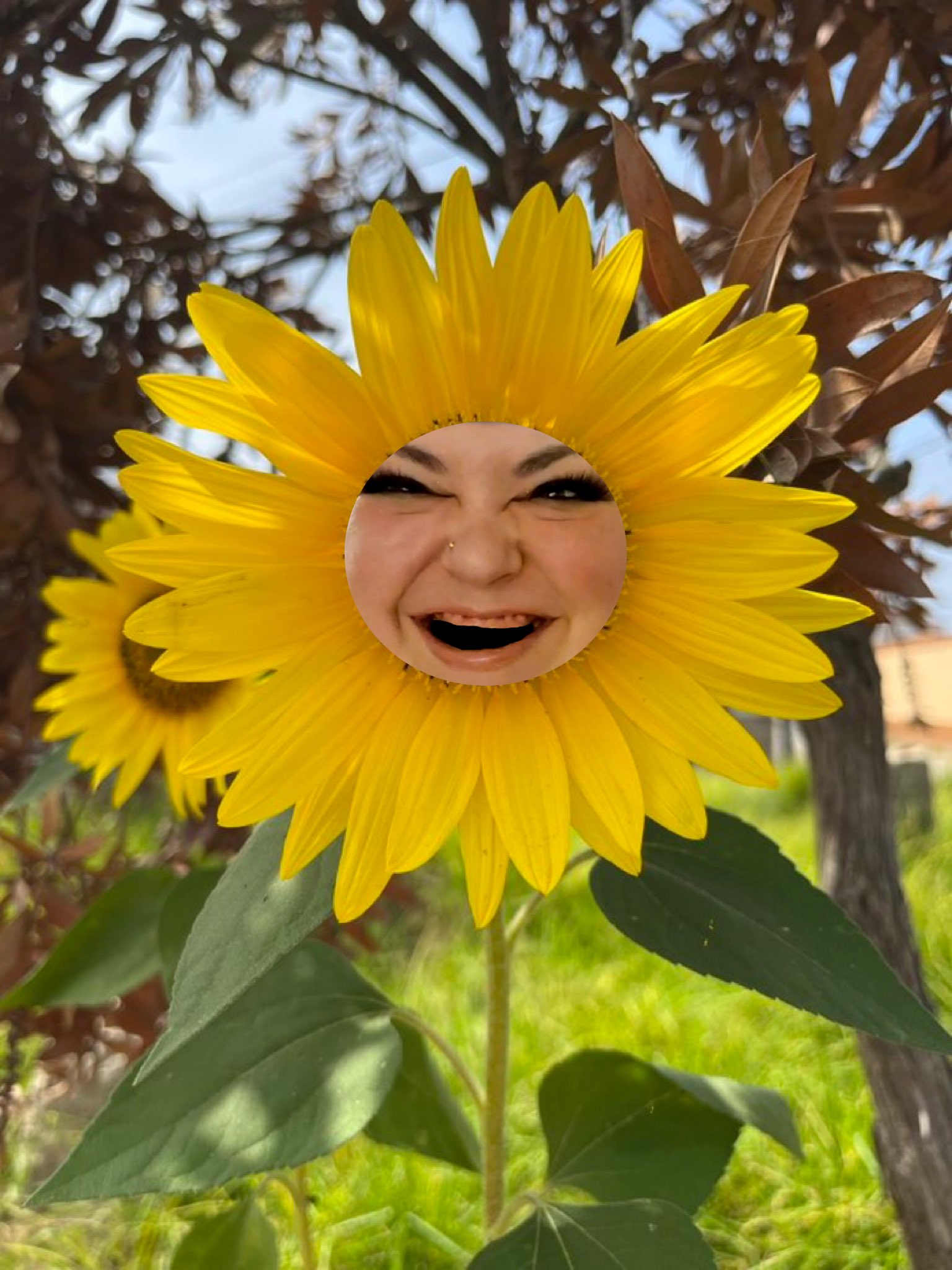 Peggy Hill on Twitter "bbqchiickn 🌻🌻🌻 https//t.co/LWlULDfZEn" / Twitter