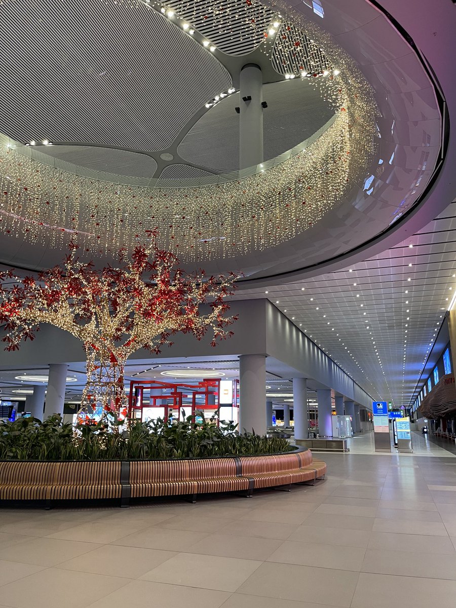 ThanksDirector's tweet photo. Guess where ? #worldtraveler #lightuptree #airport https://t.co/vBGUSJPvbV