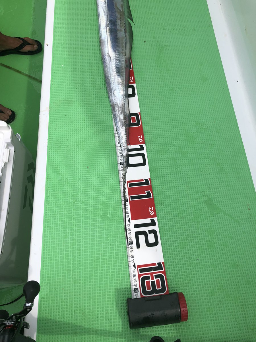 いやー、渋い&amp;暑かったー！
ドラゴン🐉1本だけですが、なんとか13本。任務完了しましたー。
でも今日のハイライトは友人が水面バラシした際に、タチウオがまるで石投げの石のように4回くらい水平ダイブしてたのがすごかった
動画撮りたかったー。
#いなの丸
#写真がインチキしてるように見える