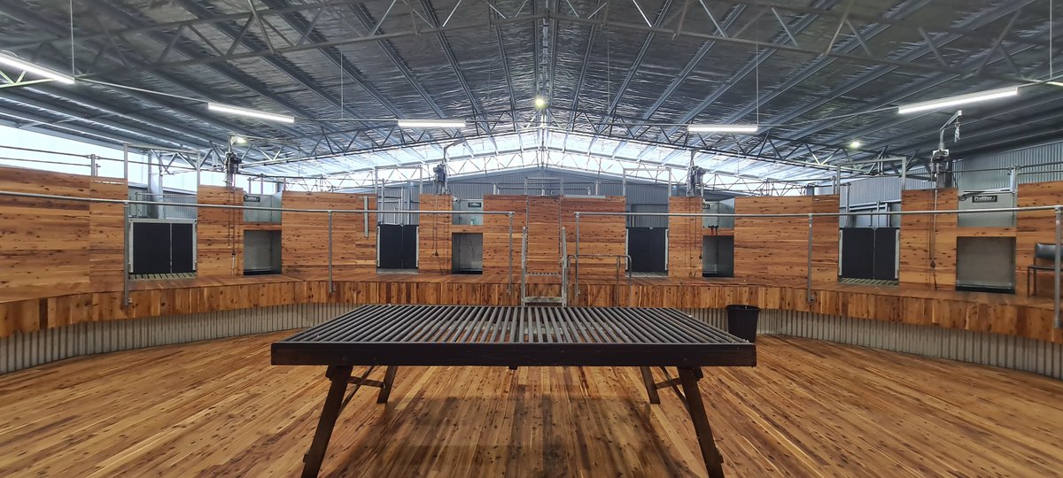 ActionSteel's tweet photo. Throwback Thursday 💭

This project is a favourite!

A single gable shearing shed and covered yards built for Salt Creek Merino Stud in 2020.💯

📍Woorndoo VIC

#ActionSteel #BigSheds #ProWay @ProWay2000 #merino #sheep #shearing https://t.co/533lhurV6H