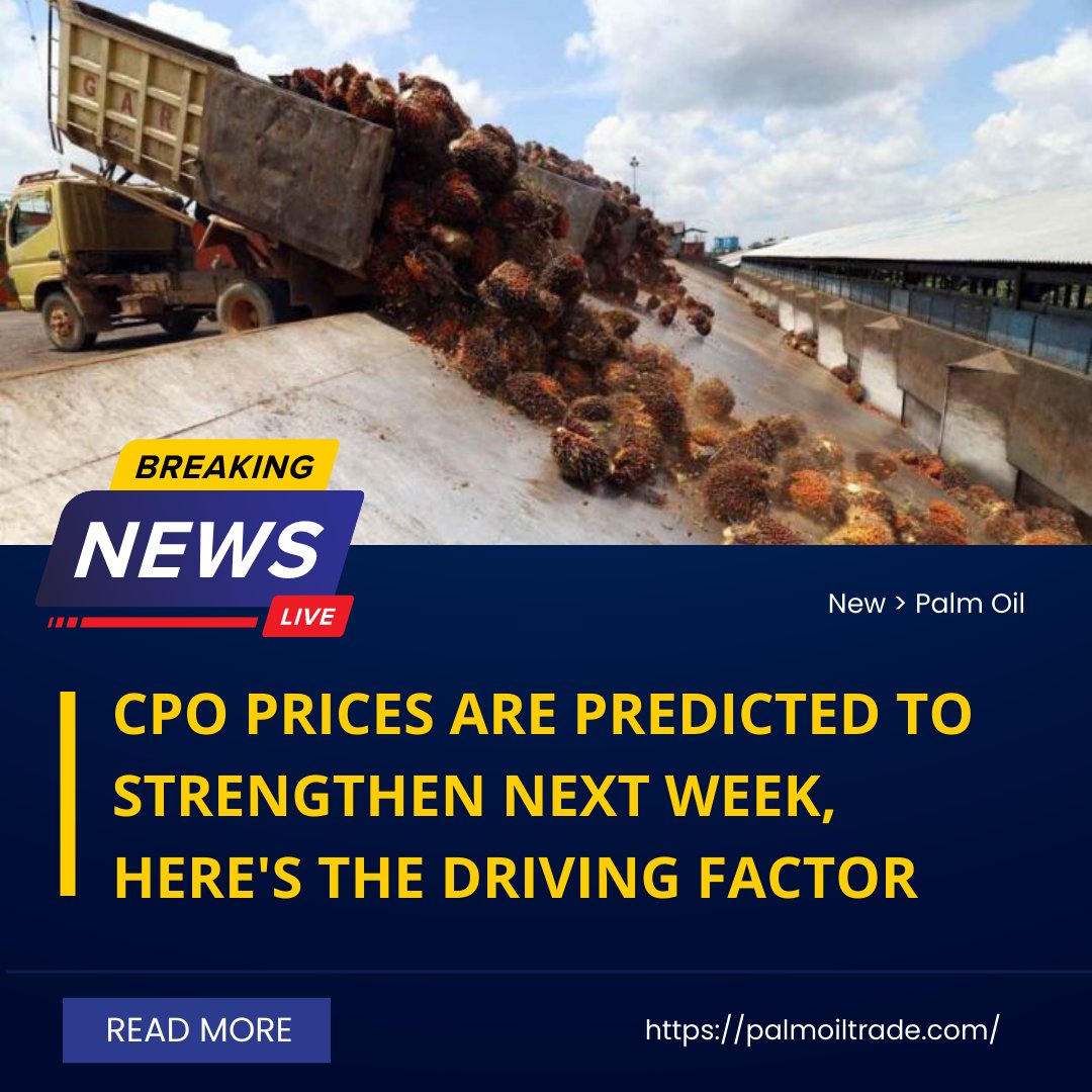 InPalmoiltrade's tweet photo. The price of crude palm oil (CPO) on the Malaysian futures exchange next week is projected to strengthen amid expectations of an estimated increase in exports. https://t.co/XFE0O794yH