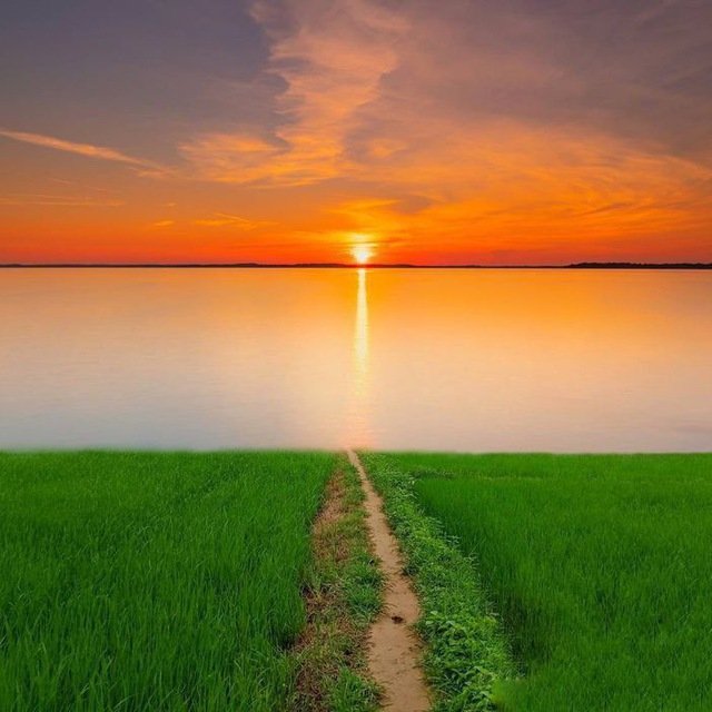 manishmaadam's tweet image. #IndependenceDay2022 Freedom in mind✊
 Faith in our heart❤
Memories in our souls🌸
Let’s salute the Nation on 🇮🇳

Jai Hind🇮🇳
#IndependenceDay #IndiaAt75 #IndependenceDay2022   #75thYearOfIndependence