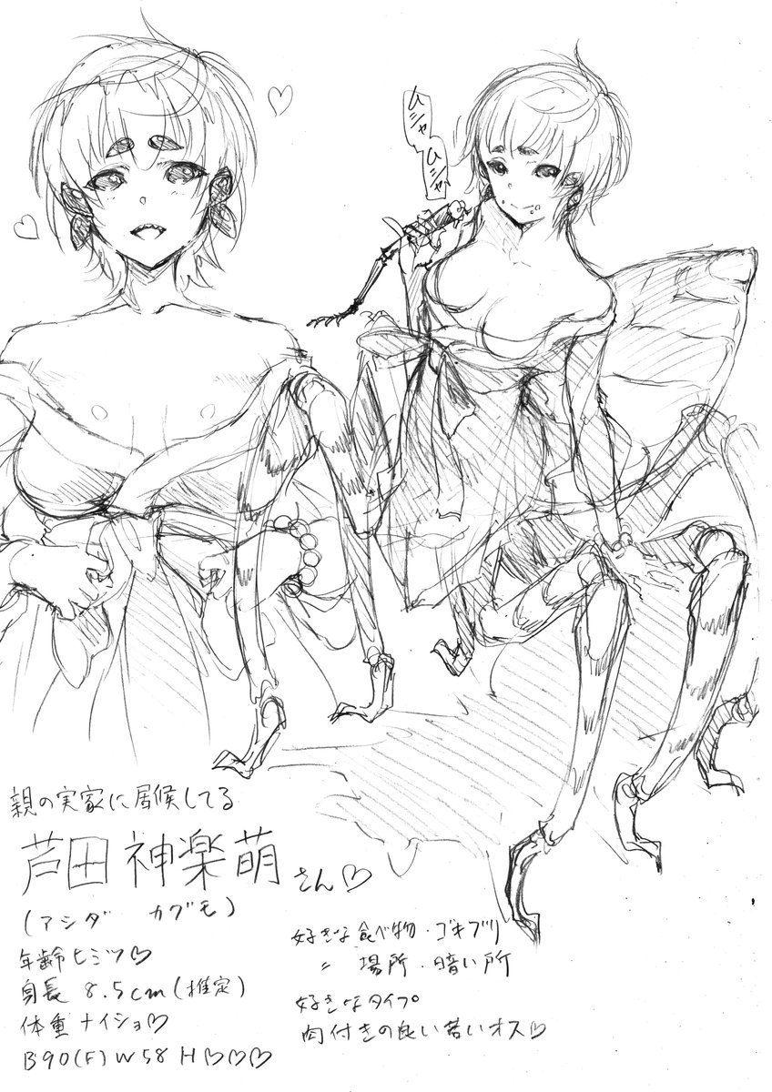 アシダカグモ人外化及び人外娘達。 