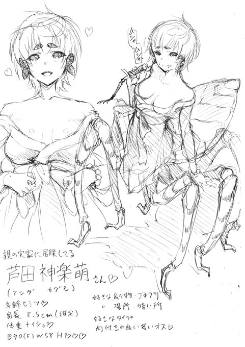 アシダカグモ人外化及び人外娘達。 