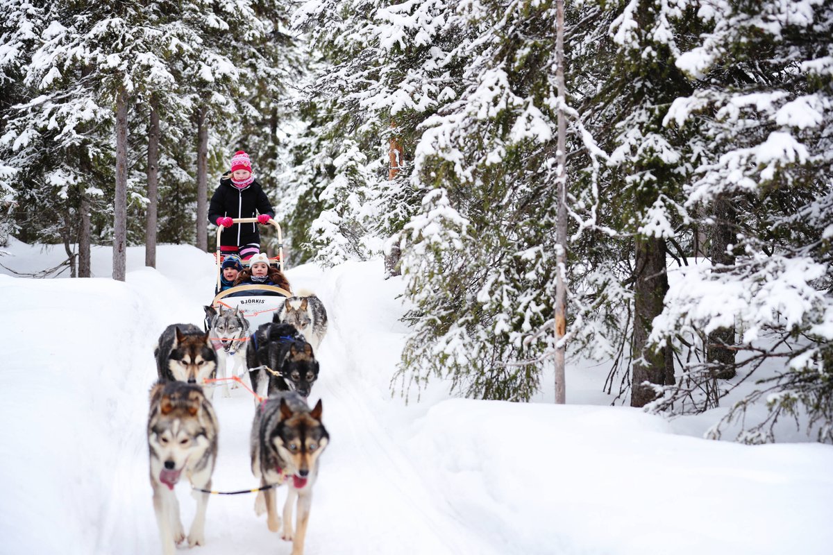 Finland Convention Bureau tweet media