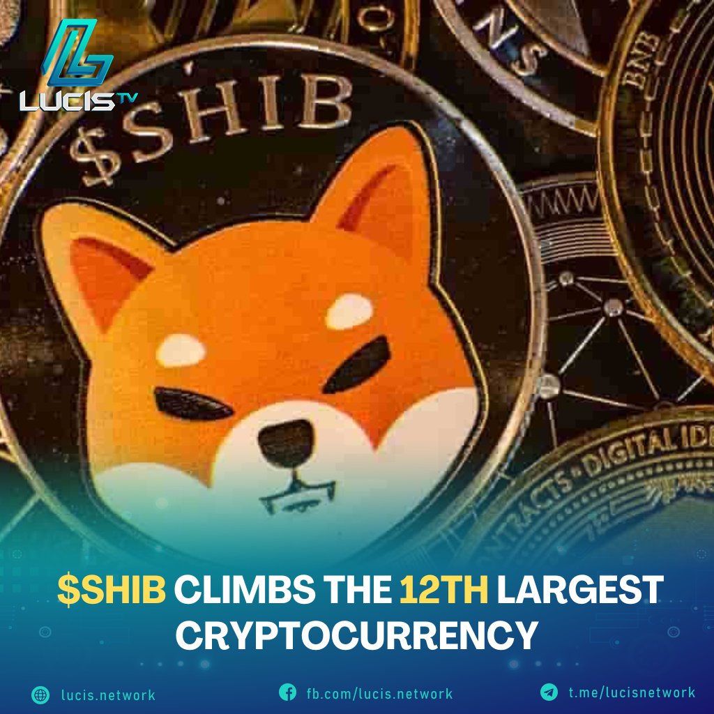Capy_Research's tweet photo. 🐶 $SHIB climbs the 12th largest cryptocurrency🐶
Specifically, @Shibtoken has raised more than 30% and set an impressive record at 0.00001774 USD. With a trading volume of $3.41B in the last 24H, #SHIB brought a record not seen since May🥳
#LucisNetwork #memecoin #cryptonews https://t.co/ygj5onJf0v