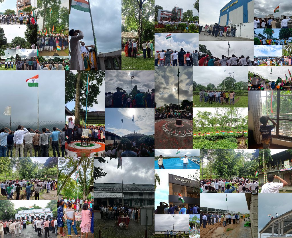 Obeetee Carpets tweet media