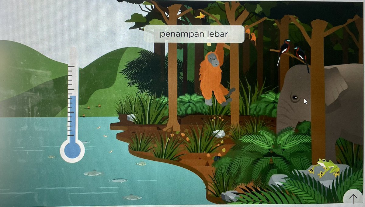 The riparian buffers video is now available in Bahasa Melayu on the <a href="/SEARRP/">SEARRP</a> website- check it out here searrp.org/2022/08/12/bol…  and share with people in Malaysia that are interested in learning about the #biodiversity benefits of #riparianbuffers