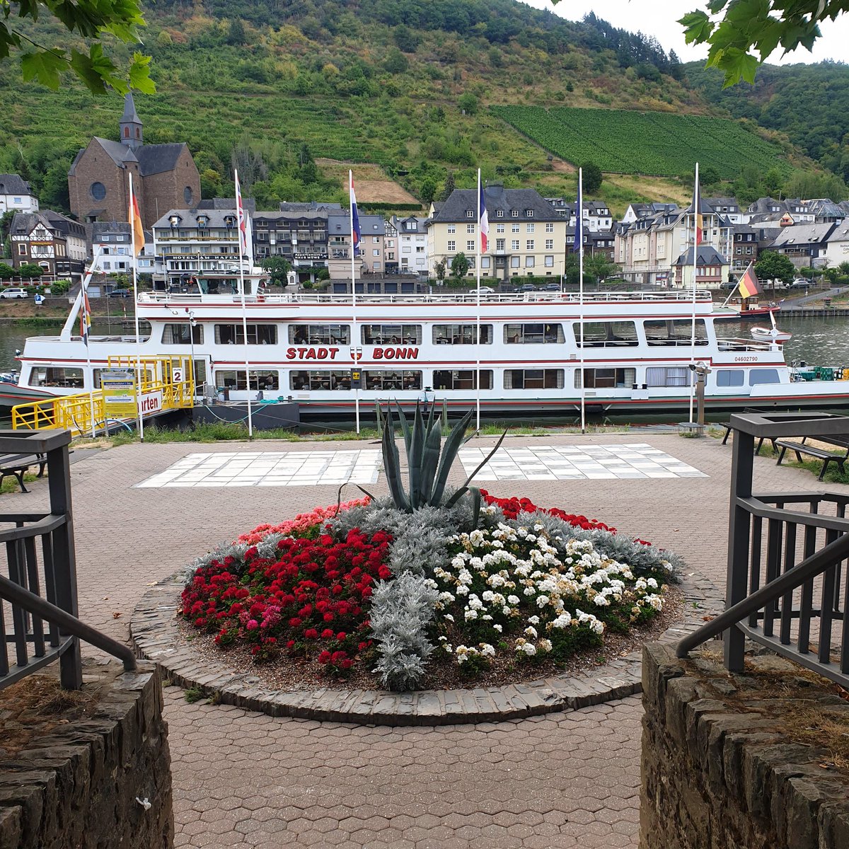 Annual German Trip. Beautiful Cochem, never disappoints 🇩🇪🌻☀️
<a href="/CochemMosel/">Ferienland Cochem</a>
<a href="/NurburgringLive/">Nurburgring Live</a> 
<a href="/DevilsDiner/">devils diner</a> 
<a href="/nordschleife/">nordschleife</a>