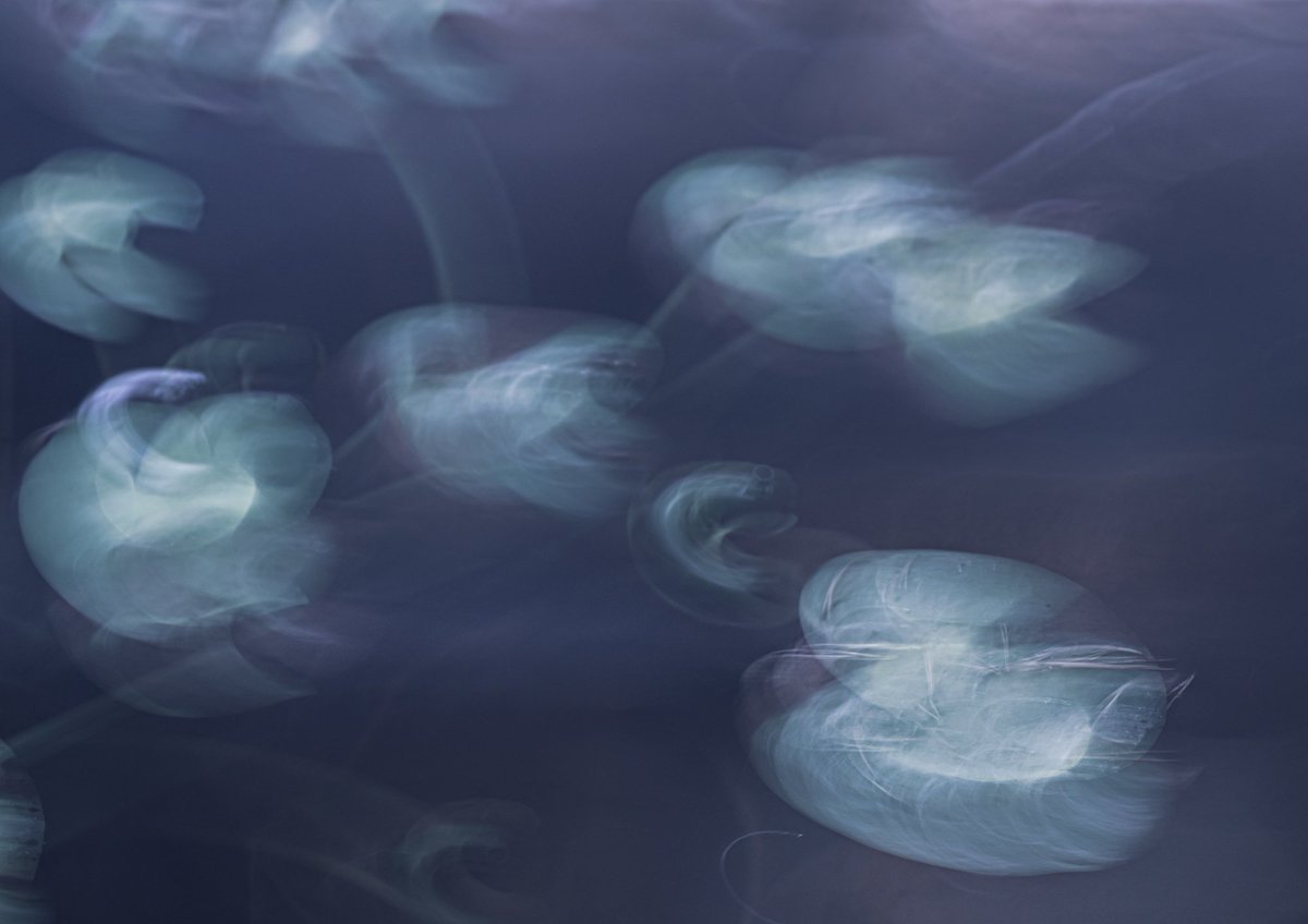 Gm all! 
New icm image 'Ghosts' 
.
.
#photography #PhotographyIsArt #icm #nikon #zcreators <a href="/NikonEurope/">NikonEurope</a>