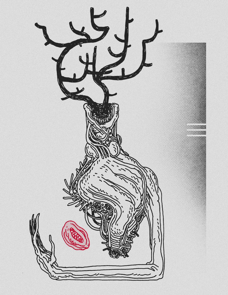 ℂℝ𝔼𝔸𝕋𝕀𝕆ℕ 𝕄𝕐𝕋ℍ 