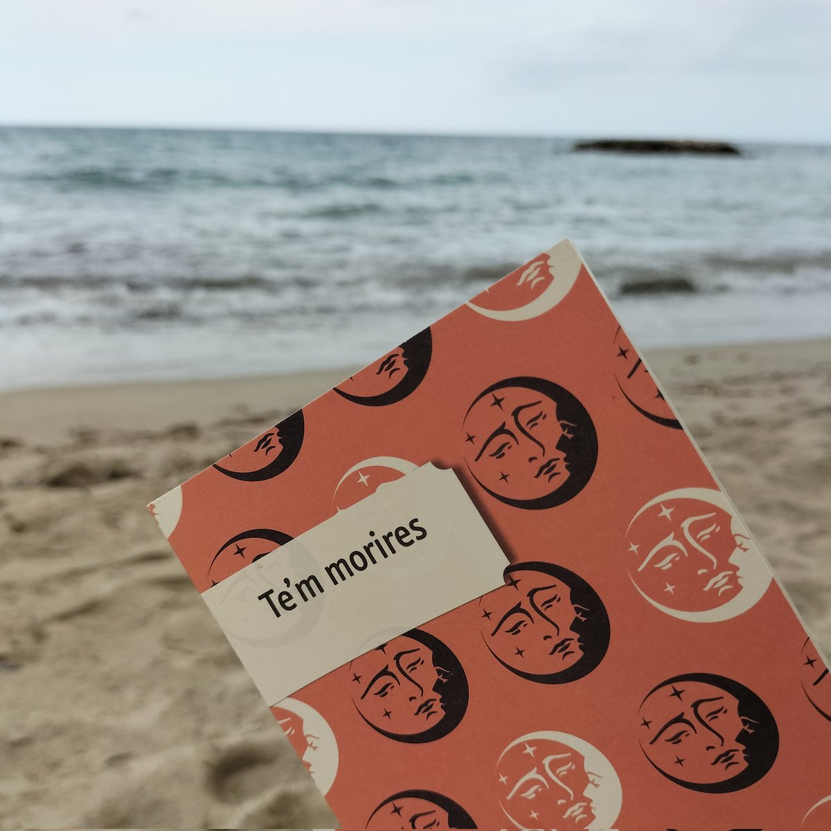 JuditRobert's tweet photo. Quantes coses queden al calaix dels silencis sense dir... @MinusculaEd #LlibresPetits #Estiu22 https://t.co/wUjcxqaeMa