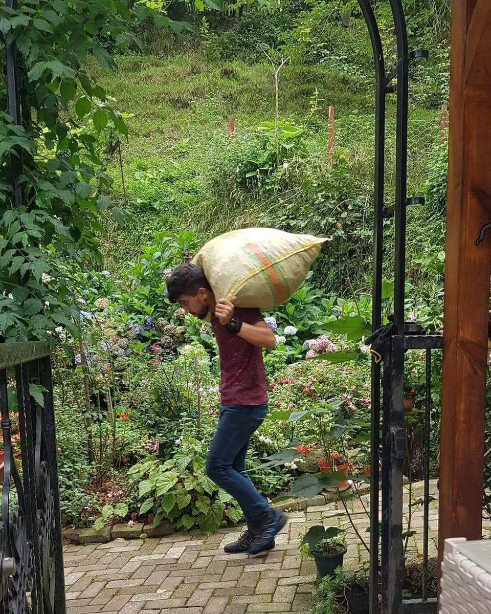 fatsagibi's tweet photo. manita: askim bi bodrum mu yapsak tatlımm??

me; https://t.co/xvfrYL2YOR