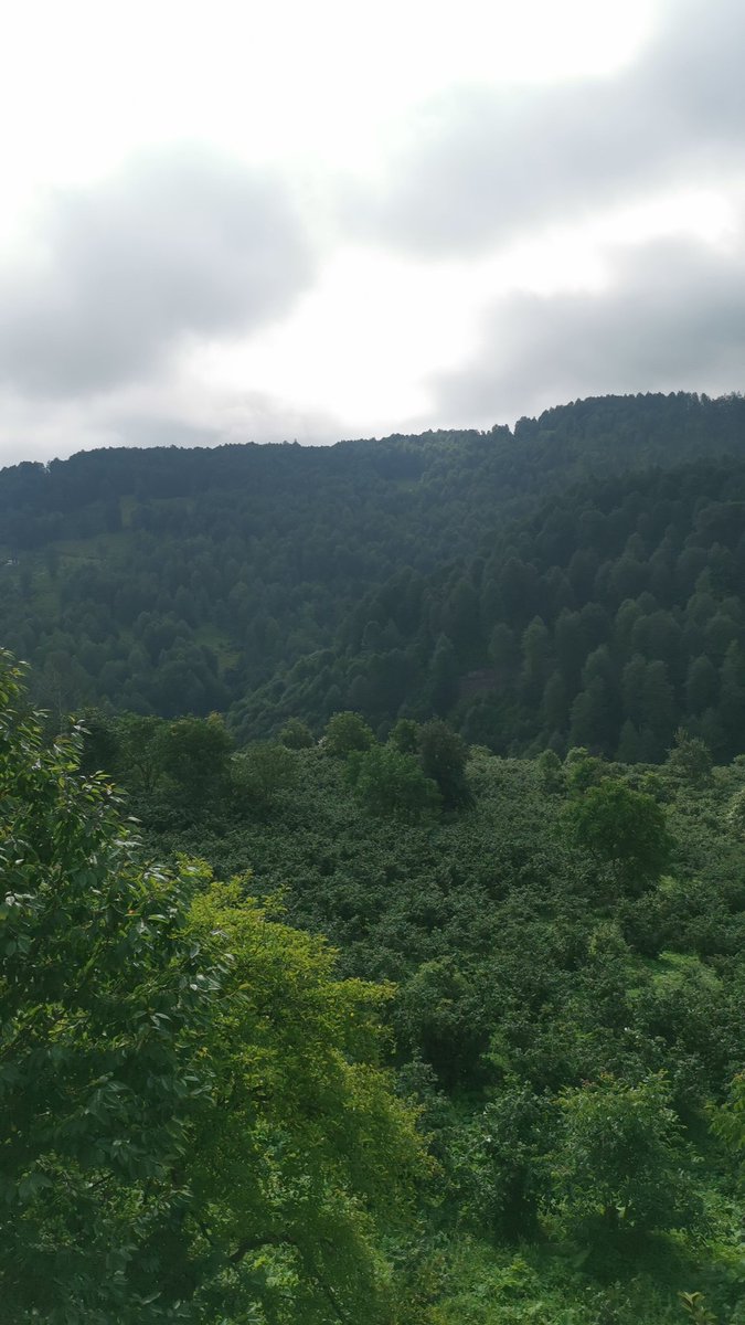 Öyle bir yerdeyim ki