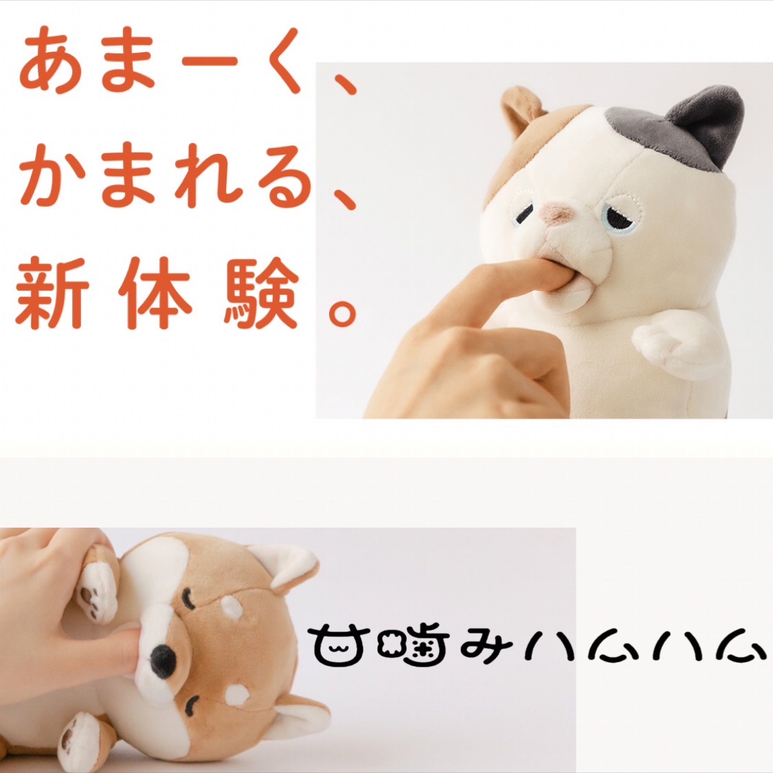 ホビヨン藤枝店 Hobbyon1 Twitter