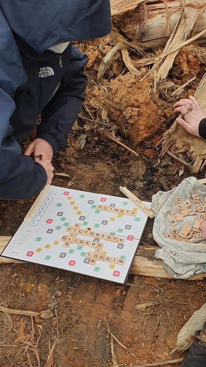 merri_forests's tweet image. Community members protesting logging pose no threat to loggers. But the timber industry poses a huge threat to all our futures - killing endangered wildlife and destroying our crucial carbon stores, our precious native forests.